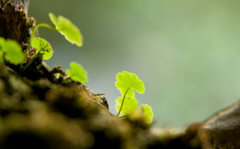 欣賞自己自自在在