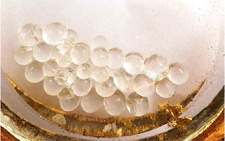 釋迦牟尼佛舍利有多少