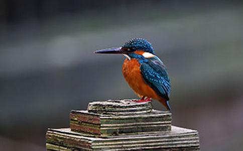 需要的不多，想要的太多