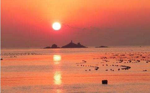 只有覺悟必死的道理，才能心平氣和地活著