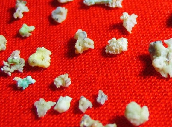 什麼是舍利花?舍利花幾則實例故事