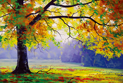 一棵帶傷疤的樹