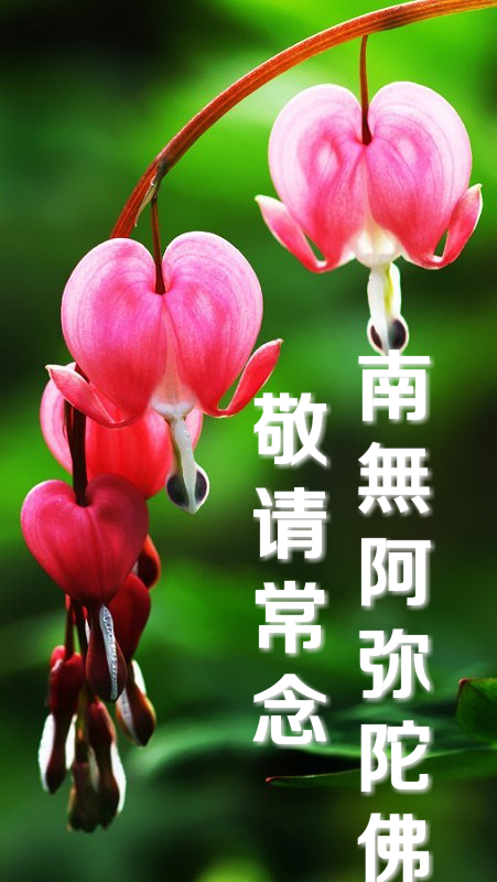 每個佛弟子都會問的二十七個問題