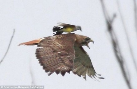 該放下的放下，該捨棄的捨棄