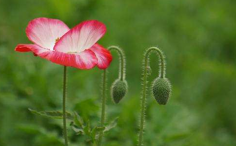 被「身苦」折磨時，還要提防「心苦」這支毒箭