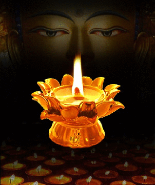 七莖蓮花的美麗愛情