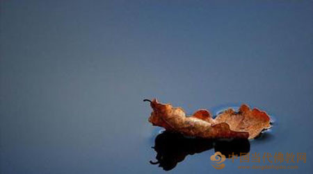 境緣無好醜，好醜起於心