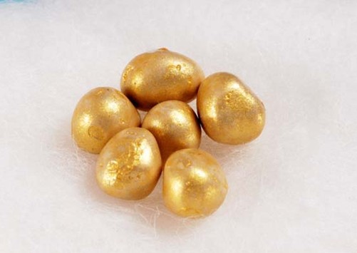 佛祖舍利是真的嗎