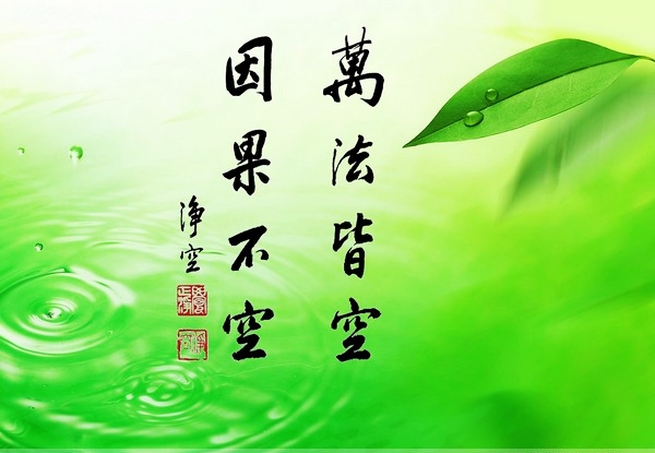 敬畏因果，不得惡死：法醫因果觀察報告