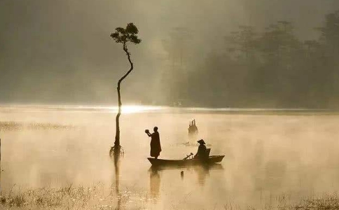 沒有期待就不會失望，學會接受無常