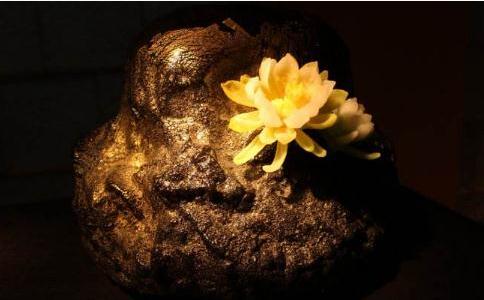 從忘我到無我便是禪心的顯現