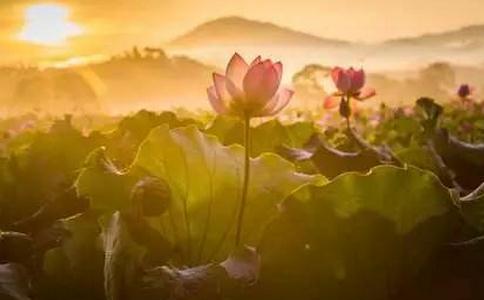 解行如何才能相應？