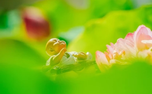 舉心動念成善惡,善觀其心,止惡念向善念