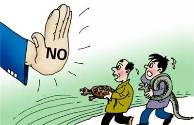 放生請回歸本意