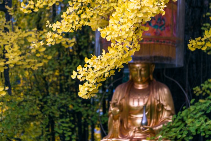 是不是修上師瑜伽時得到了四灌頂，所有密宗的法就都可以修了？