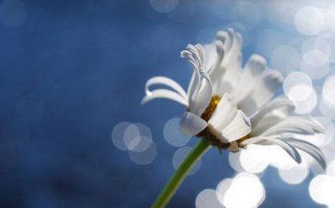 禪宗是怎樣了生死的呢？