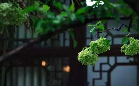 父母一方造惡業一方行善積德，對後代有何因果報應？