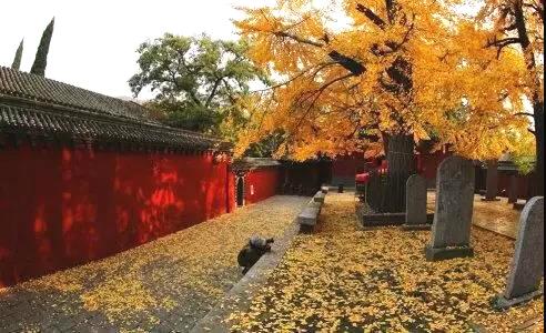 佛教啟示：是被子暖人，還是人暖被子？