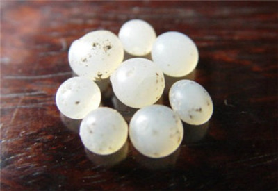 歷史上有哪些舍利子