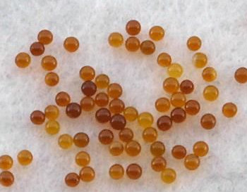 佛舍利子是怎麼來的？是什麼東西？