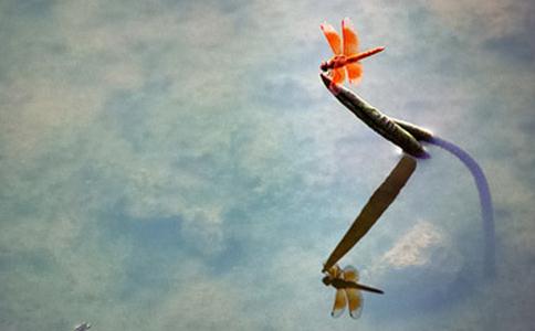 【止觀】什麼是止觀？