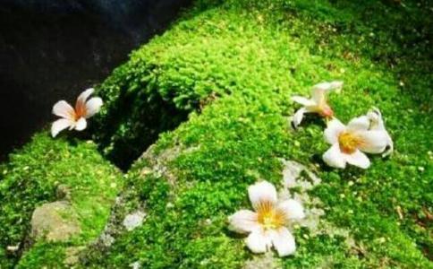 學佛後終於斷了6年的婚外情