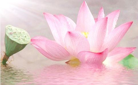 有的人為何臨終未必往生