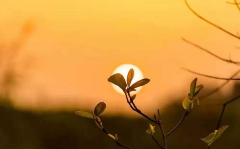 三界無安猶如火宅，弘一大師病中也不忘念佛