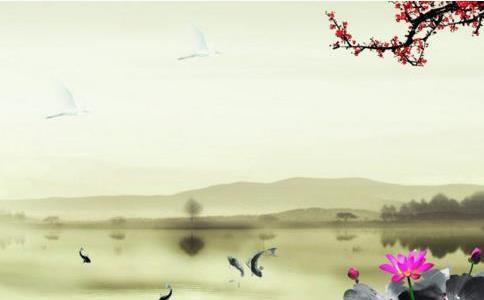 為他人著想的善心，便是最好的風水