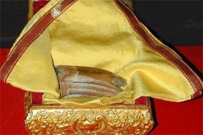 釋迦牟尼佛舍利現在存世的共有幾枚