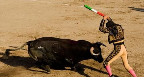 西班牙加泰羅尼亞地方議會投票決定禁止鬥牛