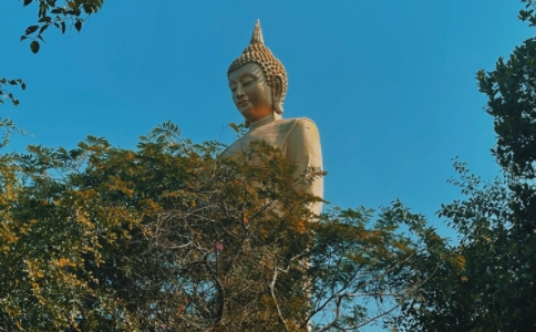 四真道行是什麼意思？佛說四聖諦的目的