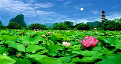 日光菩薩咒的功德利益