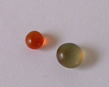 什麼是金剛舍利？