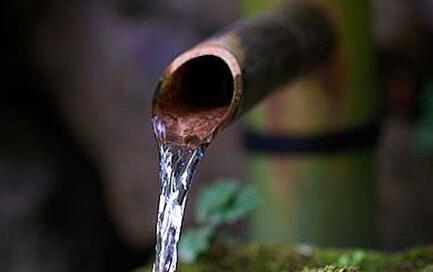 放生行善之後迴向的重要性