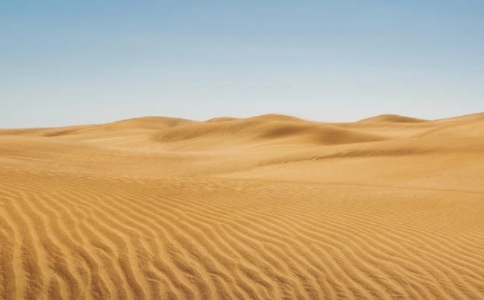 什麼是生活與生存？一壺水的故事讓你明白