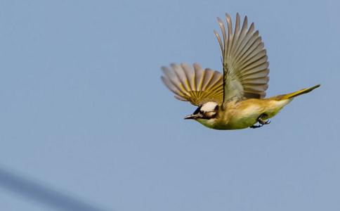 哪怕只能救護一個生命，也是有意義的