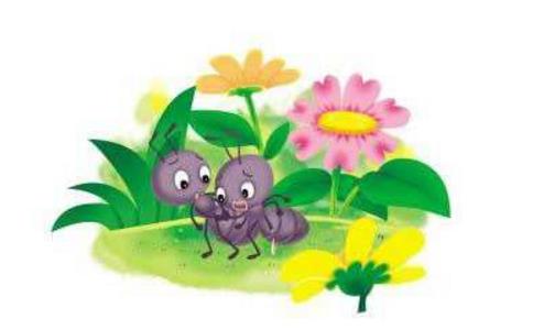 兩隻螞蟻爬向自由的故事