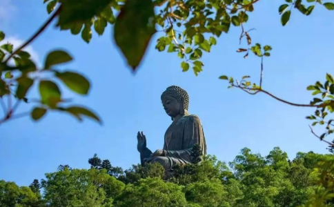 以個人知見去做去行，那就失去了佛陀本意