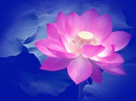 眾生最珍貴的是生命