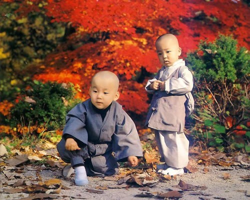 慾望無邊凡事有度