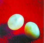 北京房山雲居寺雷音洞內發現釋迦佛舍利