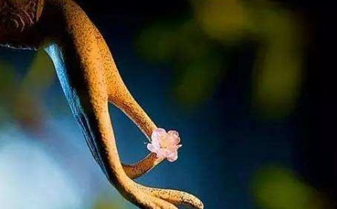 稱伽拔吒因貧窮而被輕視，變富後心是清凈的