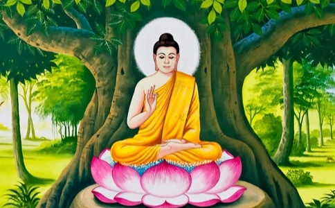 接受老去的事實，珍惜有限的光陰，讓生命價值最大化