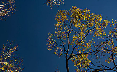 不論出家與在家都應該要斷絕邪色淫念