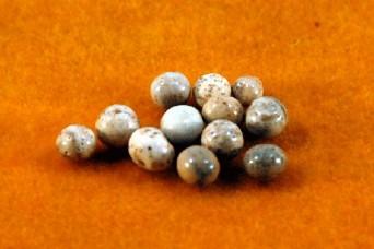 舍利子是什麼意思