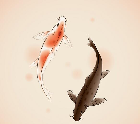 水陸空動物的生活習性及放生釋疑