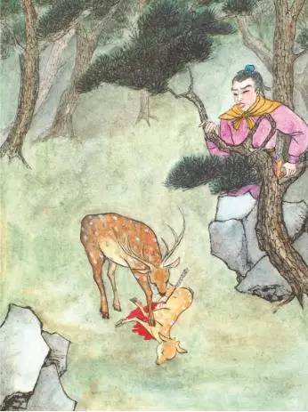 看到母鹿悲傷斷腸，許敬之惻隱之心，油然而生，從此戒殺
