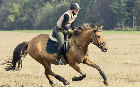 世界上有四種不同眾生，你是哪一種？