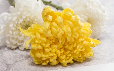 清明如何祭祀才能更好地行孝？不宜殺生